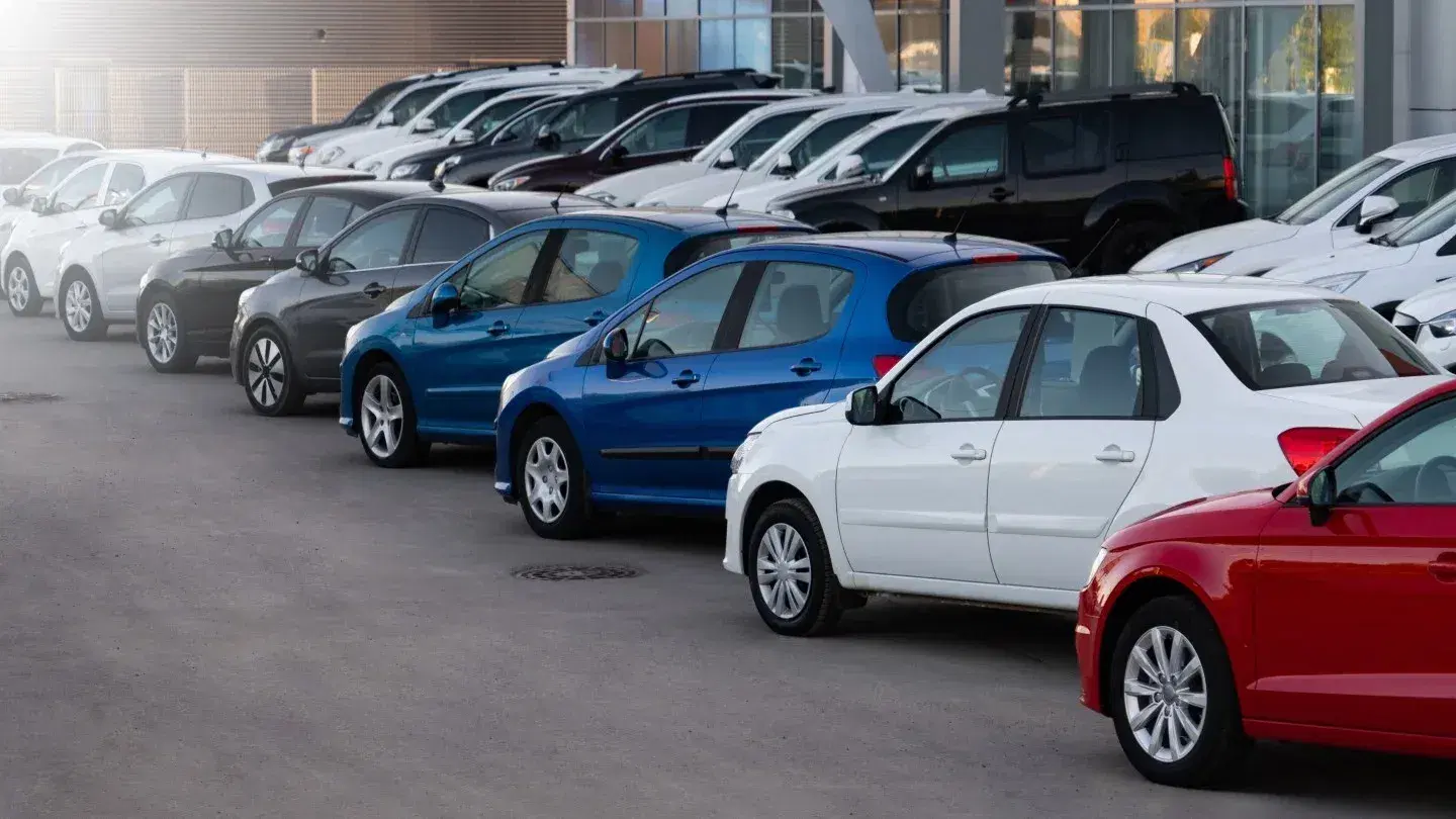 A row of used cars in a dealership lot, showcasing various models and colors.