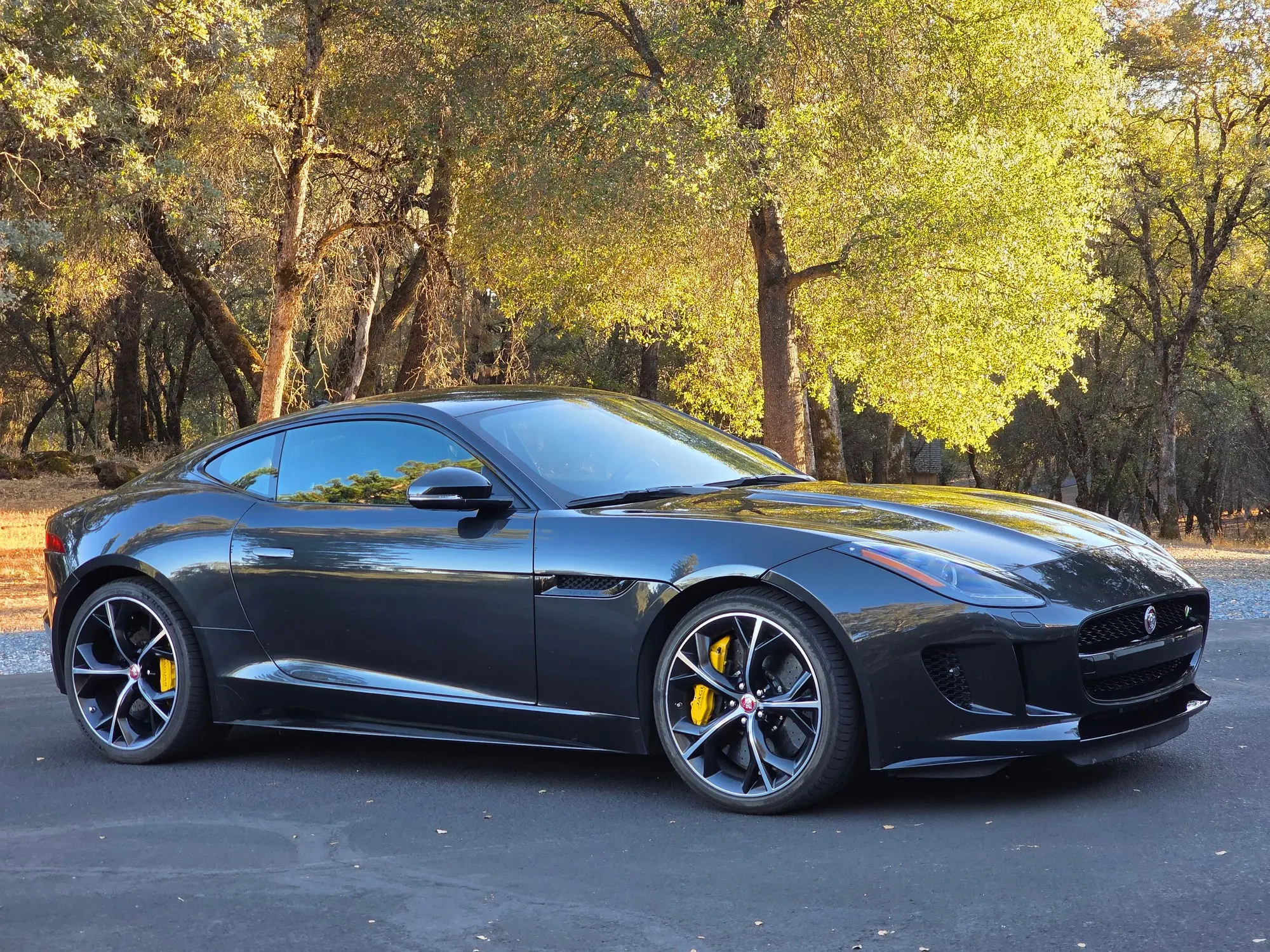 2015 Jaguar F-TYPE R Coupe photo 3