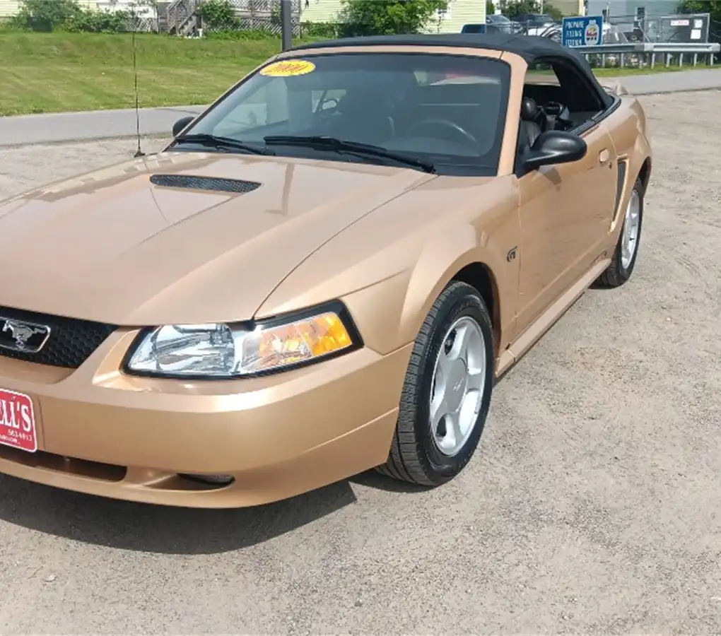 2000 Ford Mustang GT V8's photo
