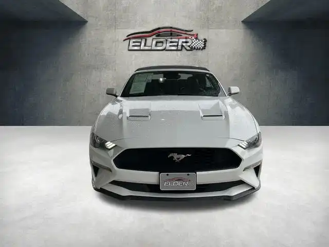2023 Ford Mustang EcoBoost Premium Convertible's photo