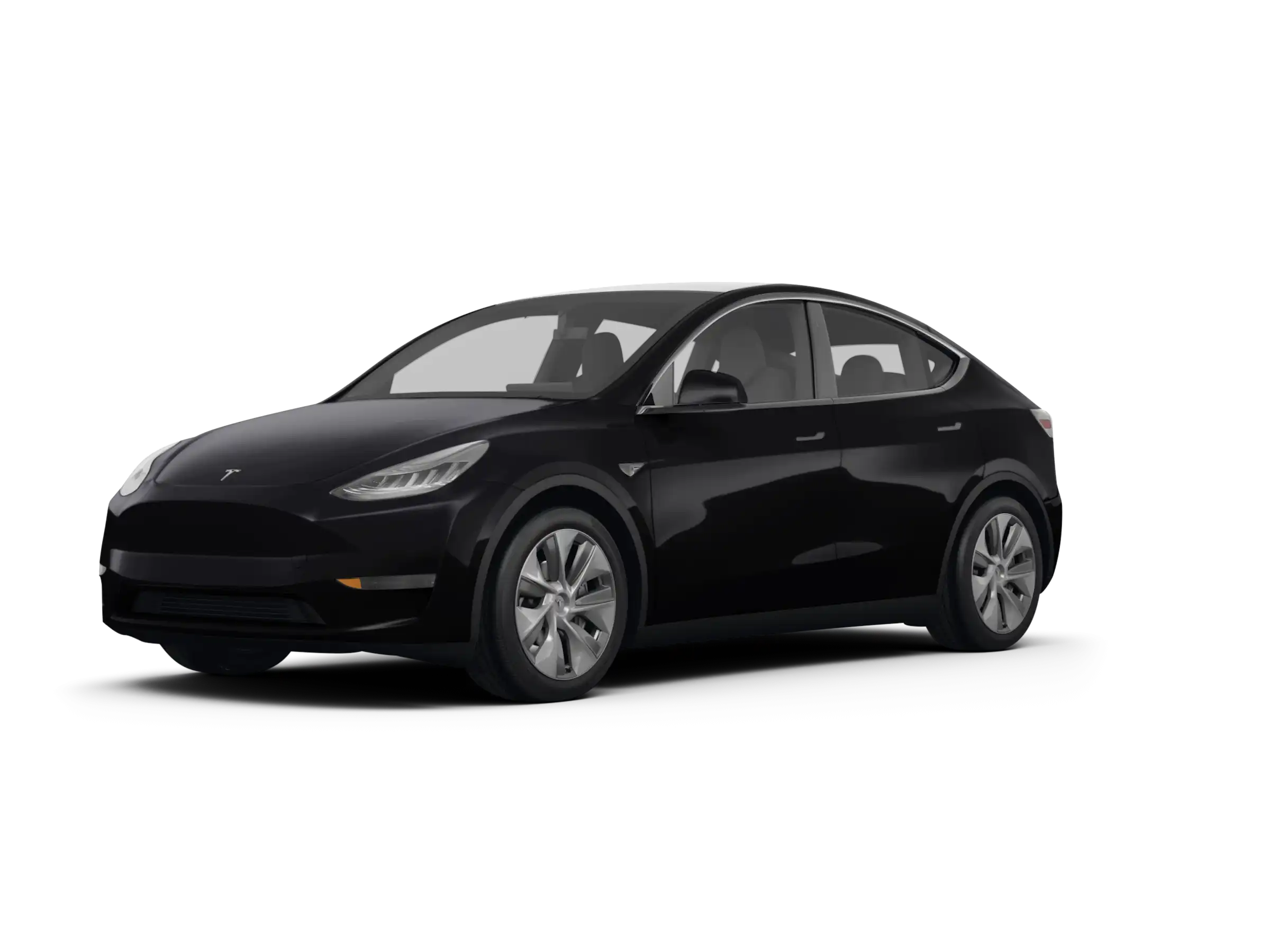 2023 Tesla Model Y Long Range Dual Motor All-Wheel Drive's photo