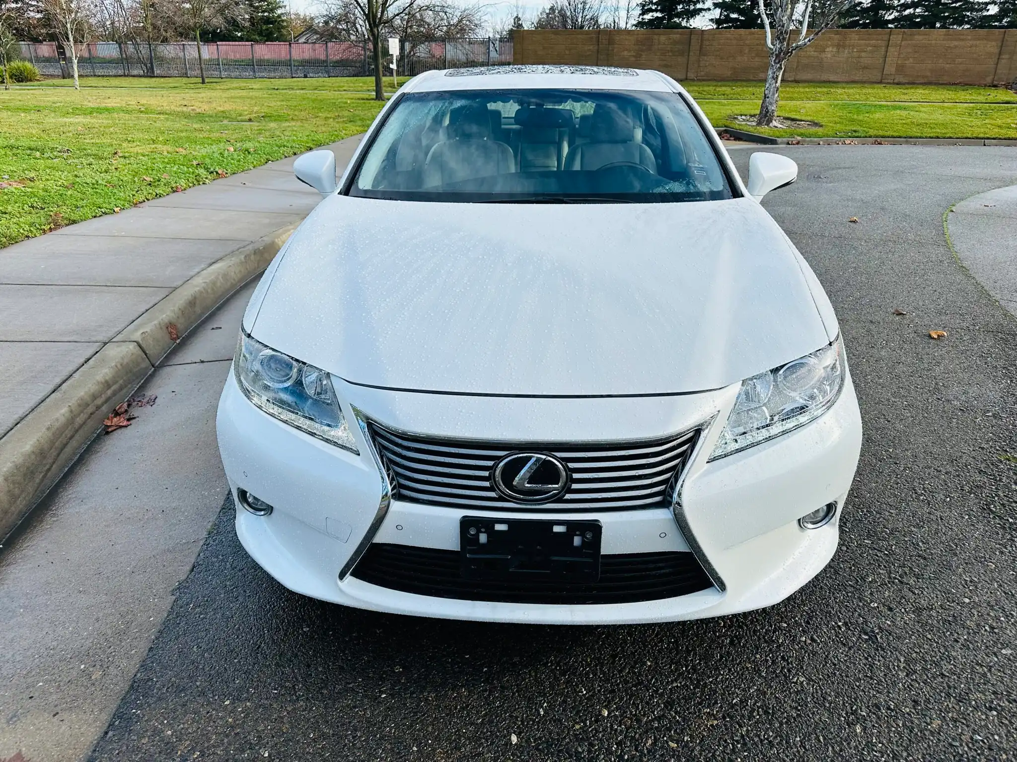 2014 Lexus ES 350 350's photo