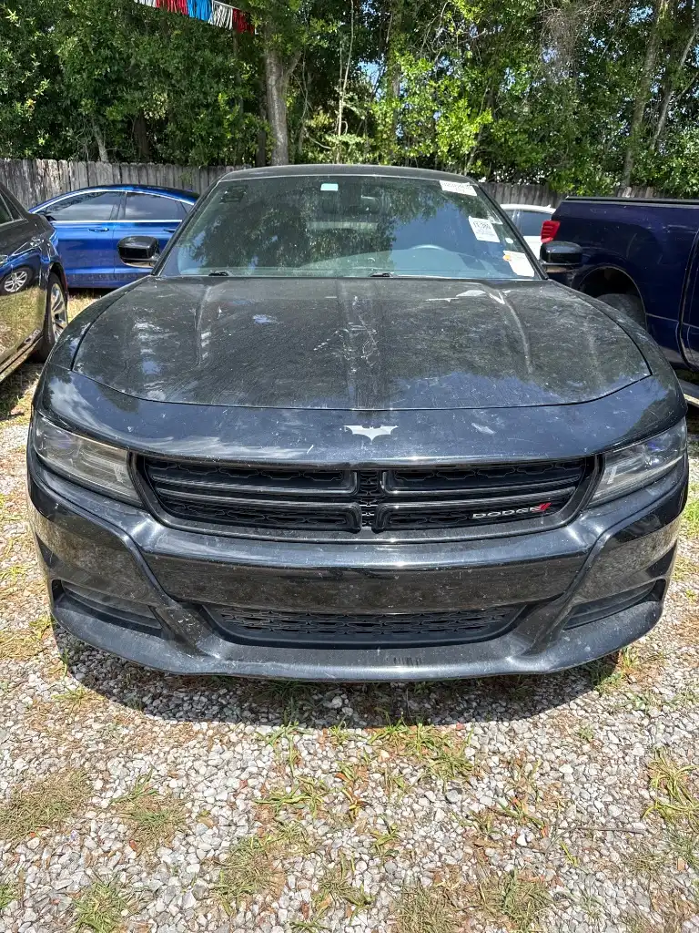 2016 Dodge Charger R/T's photo