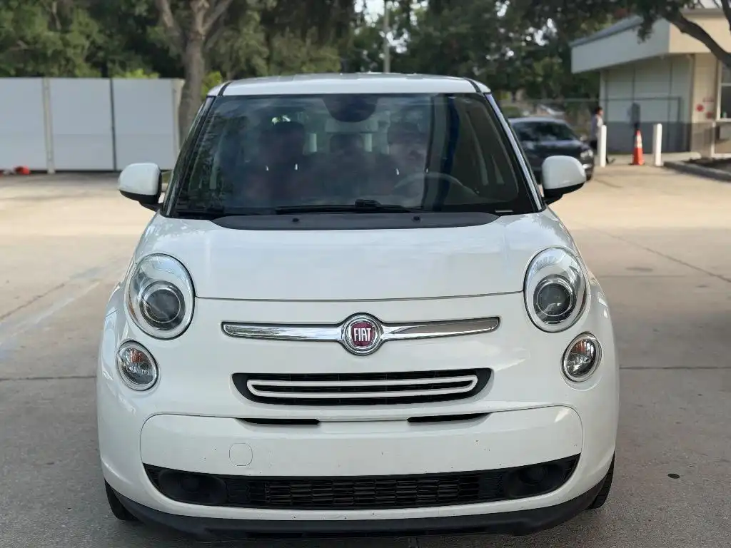 2014 FIAT 500L Easy's photo