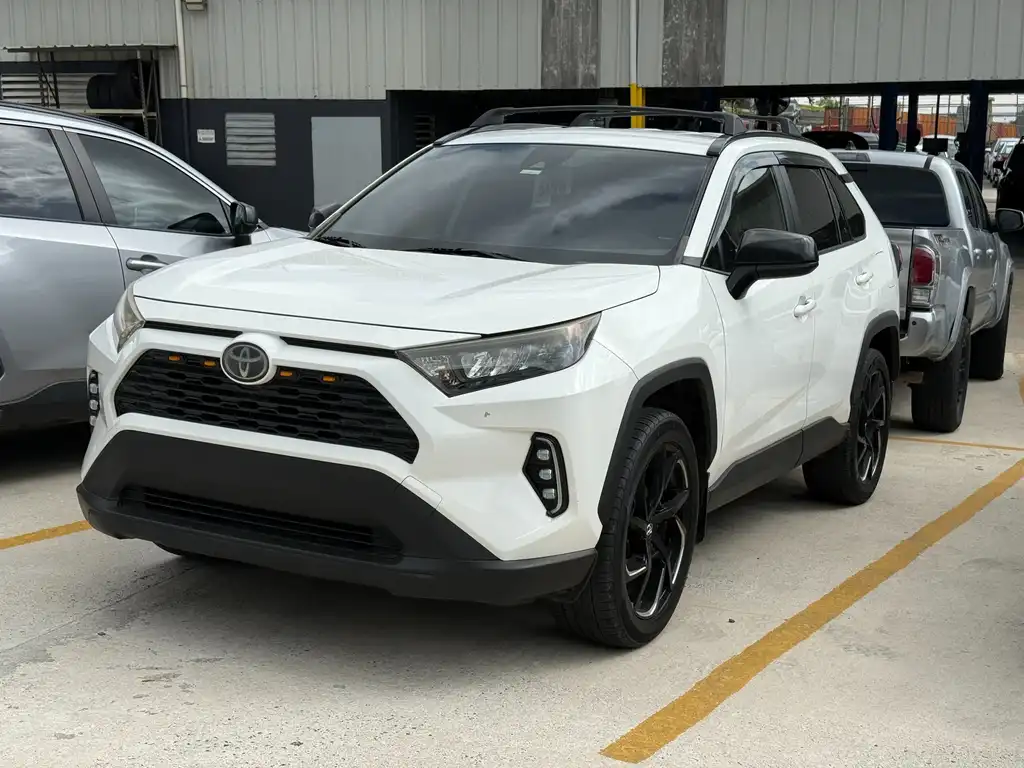 2019 Toyota RAV4 LE FWD's photo