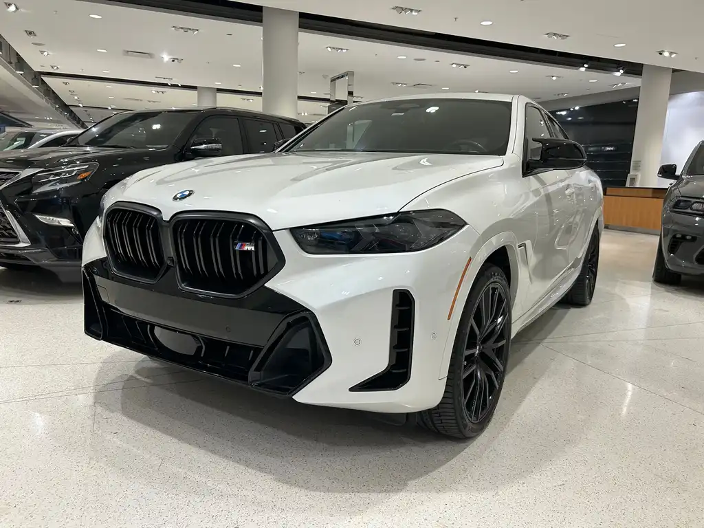 2024 BMW X6 M60i's photo