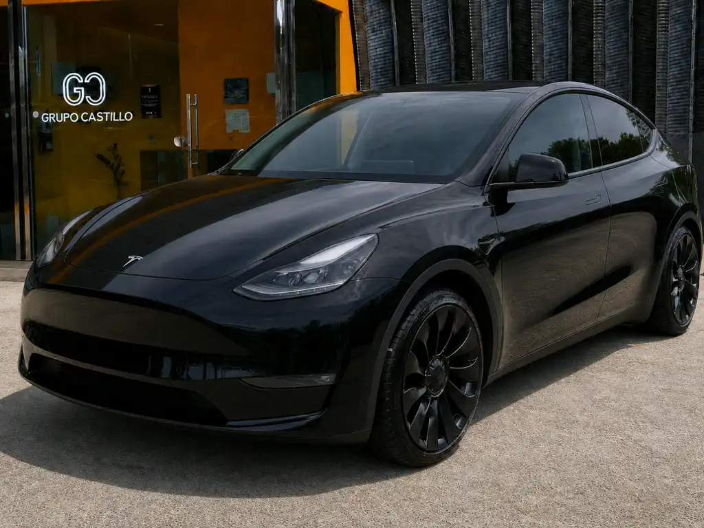 2021 Tesla Model Y Performance Dual Motor All-Wheel Drive's photo