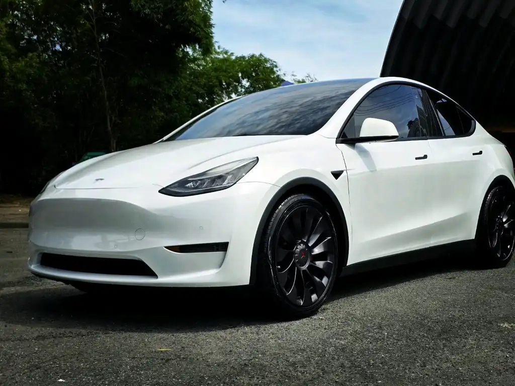 2020 Tesla Model Y Performance Dual Motor All-Wheel Drive's photo