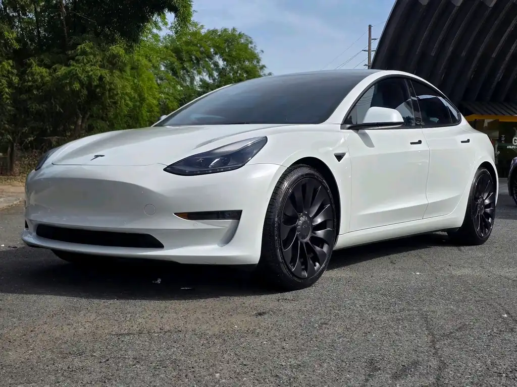 2022 Tesla Model 3 Performance Dual Motor All-Wheel Drive's photo
