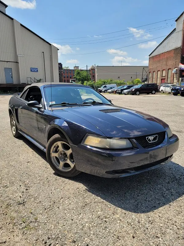 2002 Ford Mustang undefined photo 3