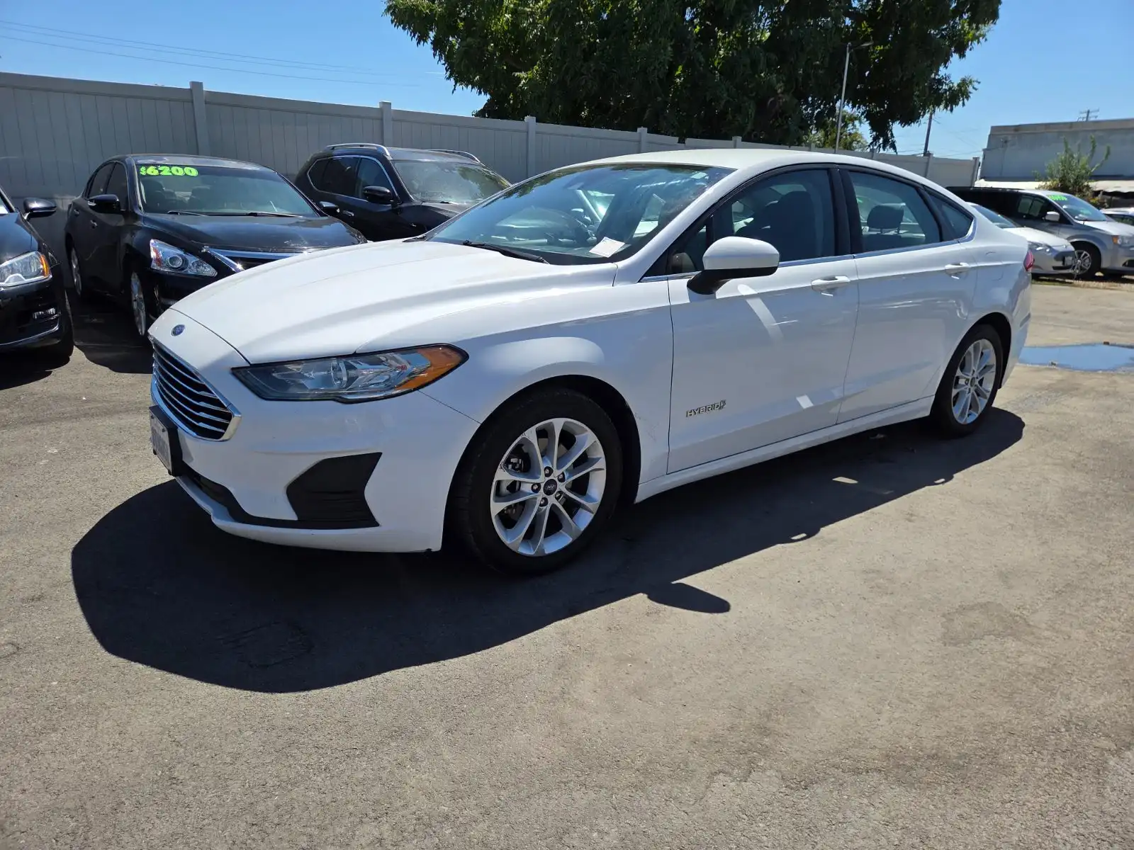 2019 Ford Fusion SE's photo