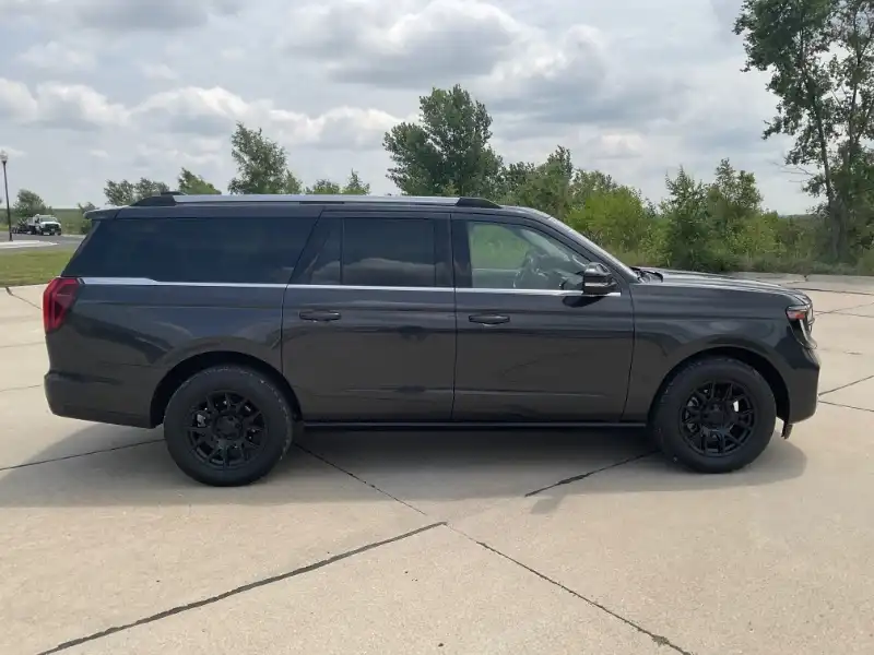 2025 Ford Expedition Platinum MAX 4x4's photo