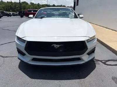 2024 Ford Mustang EcoBoost Premium Convertible photo 5