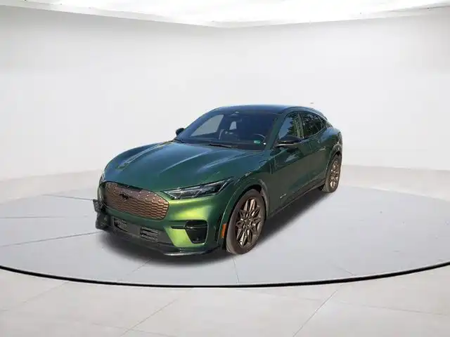 2024 Ford Mustang-Mach-e GT's photo
