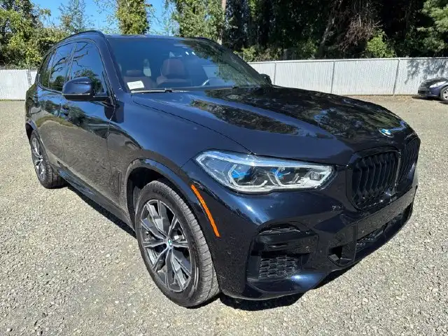 2023 BMW X5 M50i's photo