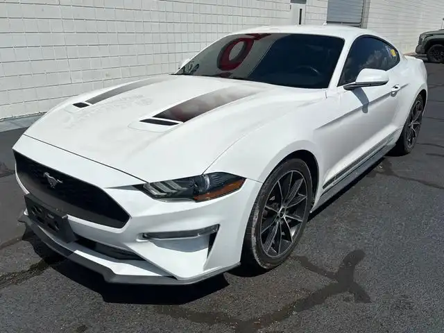2020 Ford Mustang EcoBoost Coupe's photo