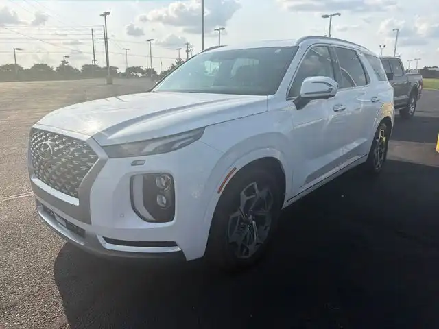2021 Hyundai Palisade Calligraphy AWD's photo