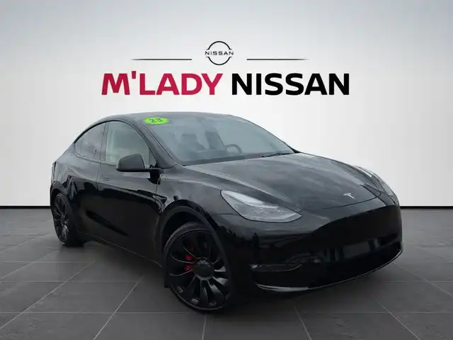 2023 Tesla Model Y Performance Dual Motor AWD's photo