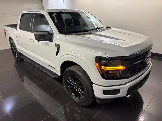 2024 Ford F-150 XLT 4x4 SuperCrew 5-1/2 Box's photo