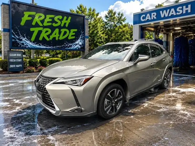 2022 Lexus UX 200 250h AWD's photo