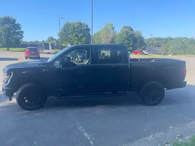 2024 Ford F-150 XLT 4x4 SuperCrew 5-1/2 Box's photo
