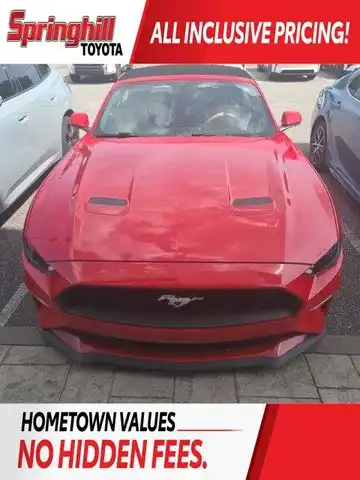 2019 Ford Mustang EcoBoost Convertible's photo