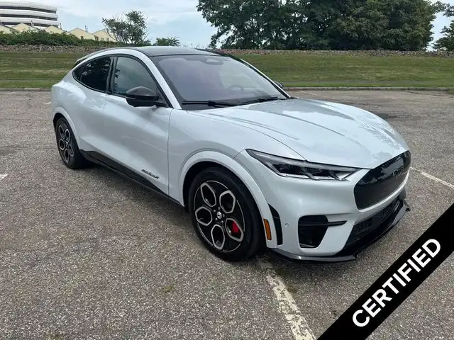 2023 Ford Mustang-Mach-e GT's photo