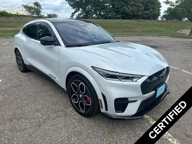 2023 Ford Mustang-Mach-e GT's photo