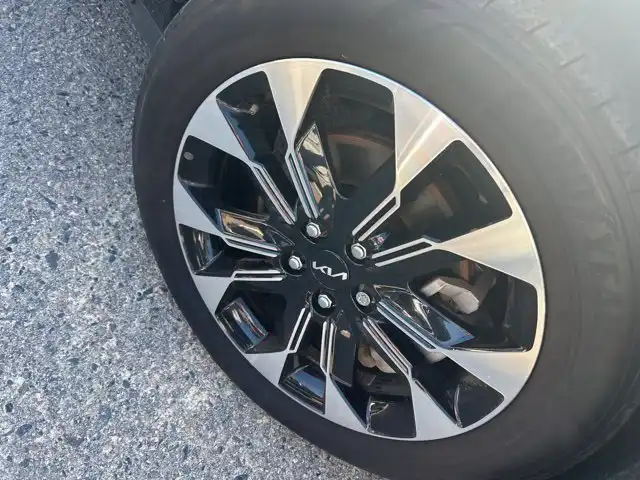2024 Kia Sedona EX's photo