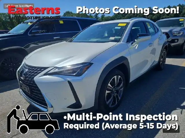 2020 Lexus UX 300h 250h AWD's photo