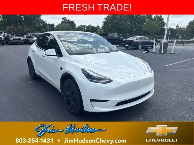 2024 Tesla Model Y Long Range Rear Wheel Drive's photo