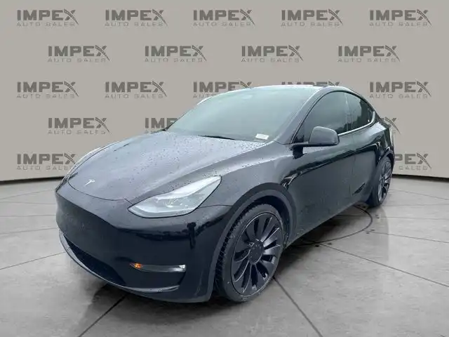 2024 Tesla Model Y Performance Dual Motor All-Wheel Drive's photo