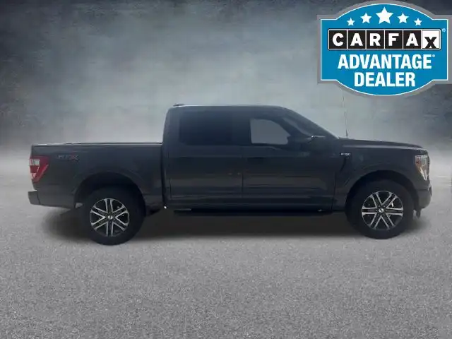 2021 Ford F-150 XL 4WD SuperCrew 5-1/2' Box's photo