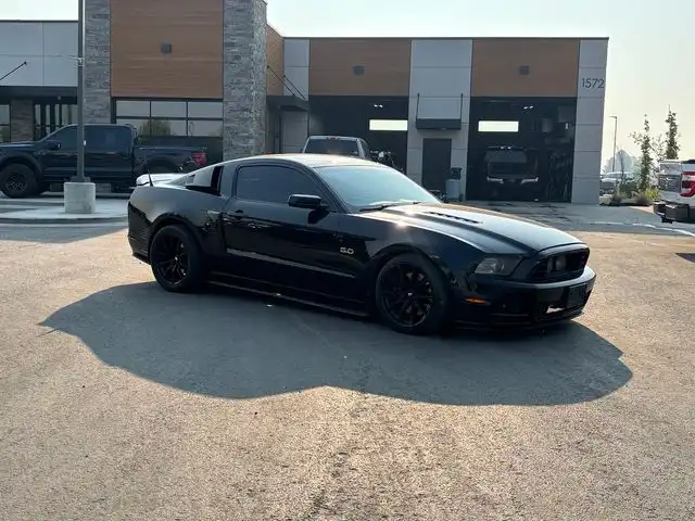 2014 Ford Mustang GT Premium's photo