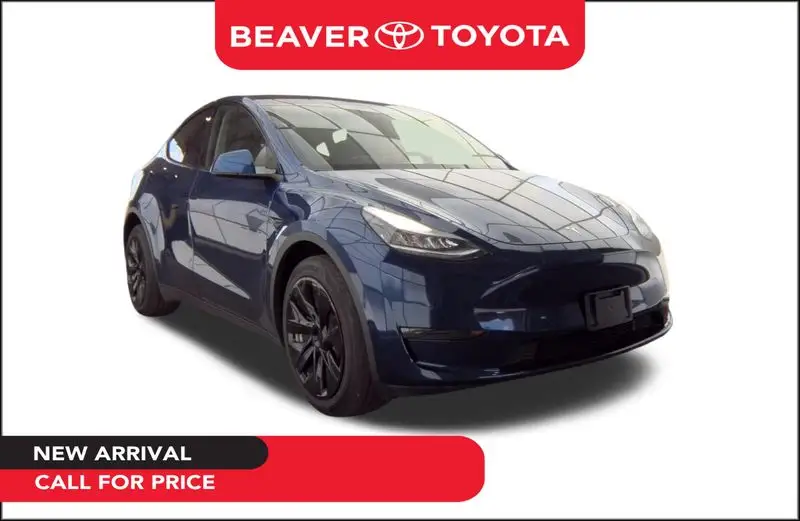 2020 Tesla Model Y Long Range Dual Motor AWD photo 1