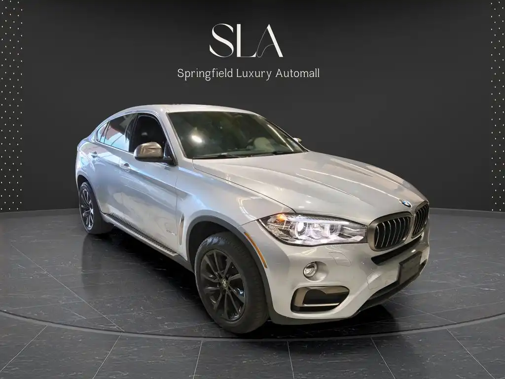 2017 BMW X6 xDrive35i's photo