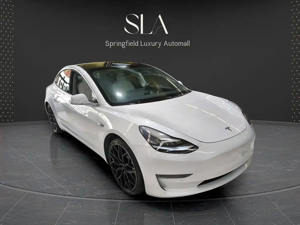 2019 Tesla Model 3 Dual Motor All-Whel Drive Long Range's photo