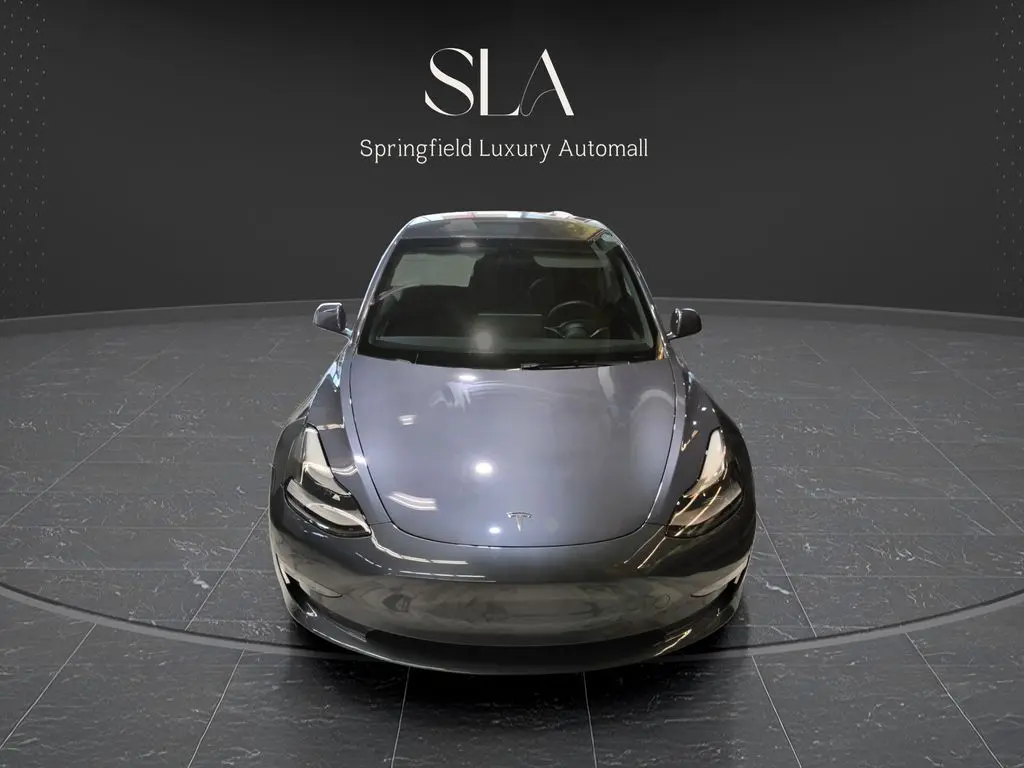 2023 Tesla Model 3 Performance photo 3