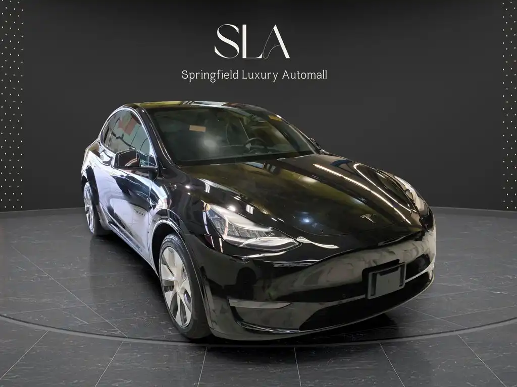 2020 Tesla Model Y Long Range Dual Motor AWD's photo