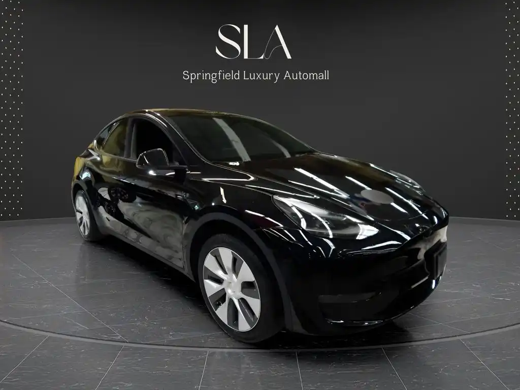 2024 Tesla Model Y Long Range Dual Motor All-Wheel Drive's photo