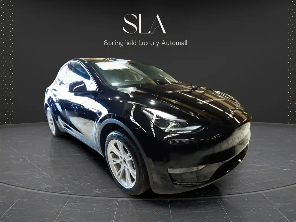 2025 Tesla Model Y Long Range Dual Motor All-Wheel Drive's photo