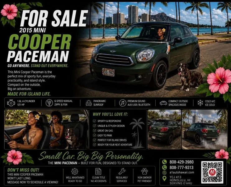2015 MINI Paceman Base photo 1