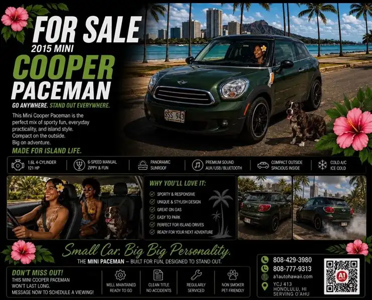 2015 MINI Paceman Base's photo