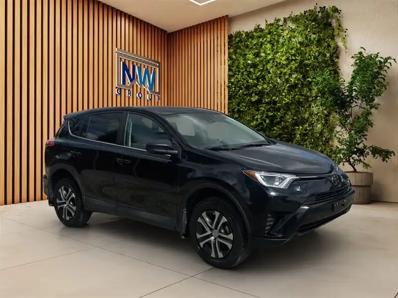 2018 Toyota RAV4 LE AWD's photo