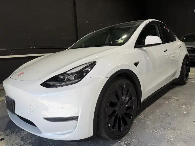 2022 Tesla Model Y Performance Dual Motor AWD's photo