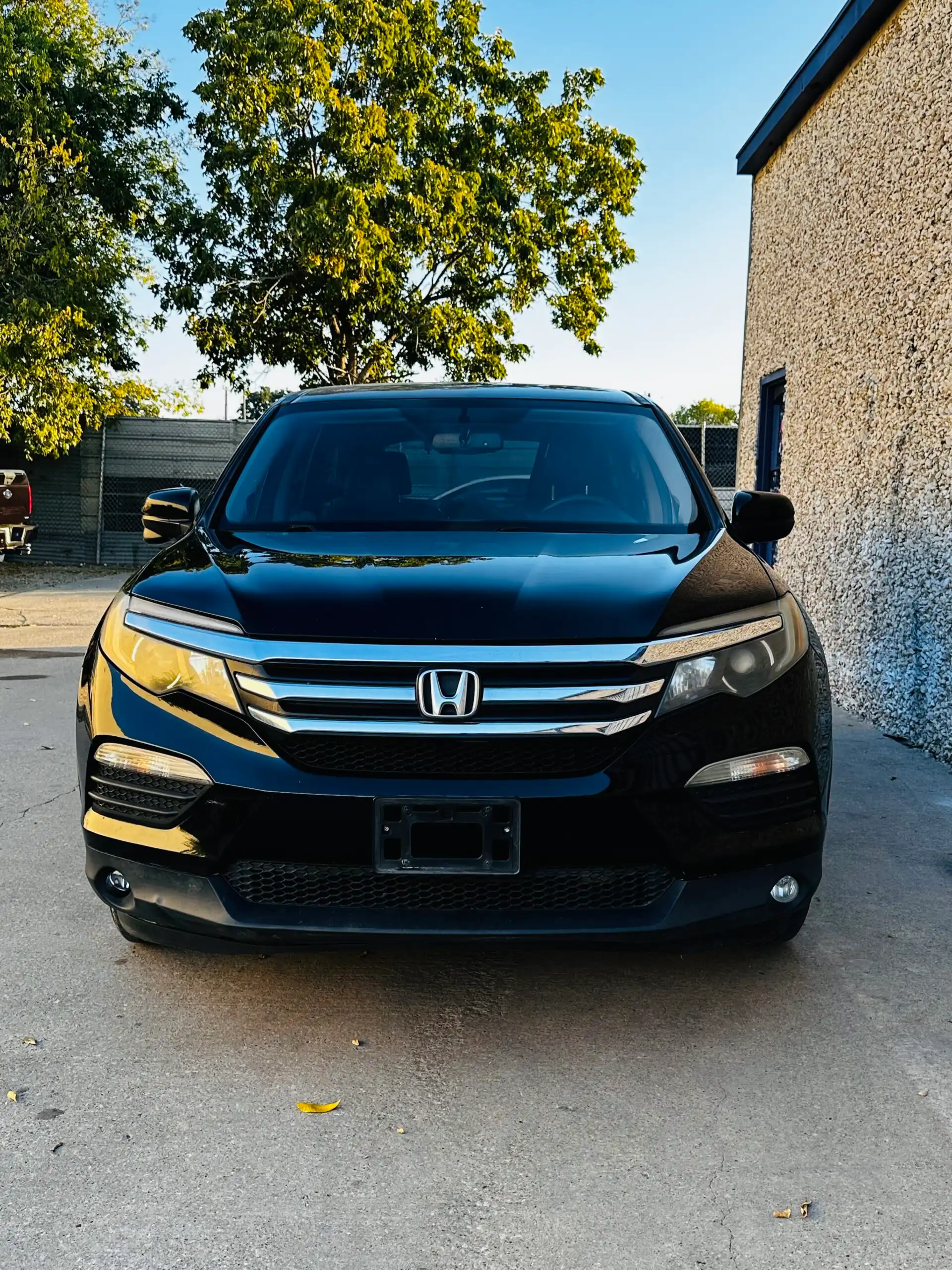 2017 Honda Pilot 2WD EX-L's photo