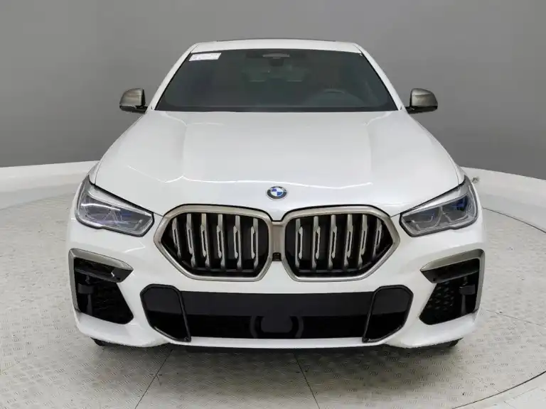 2022 BMW X6 M50i's photo
