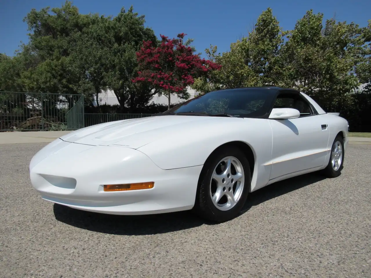 1994 Pontiac Firebird's photo
