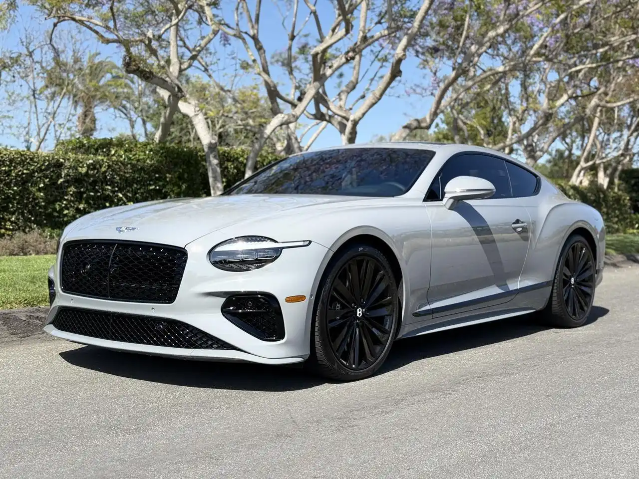 2025 Bentley Continental GT Speed's photo