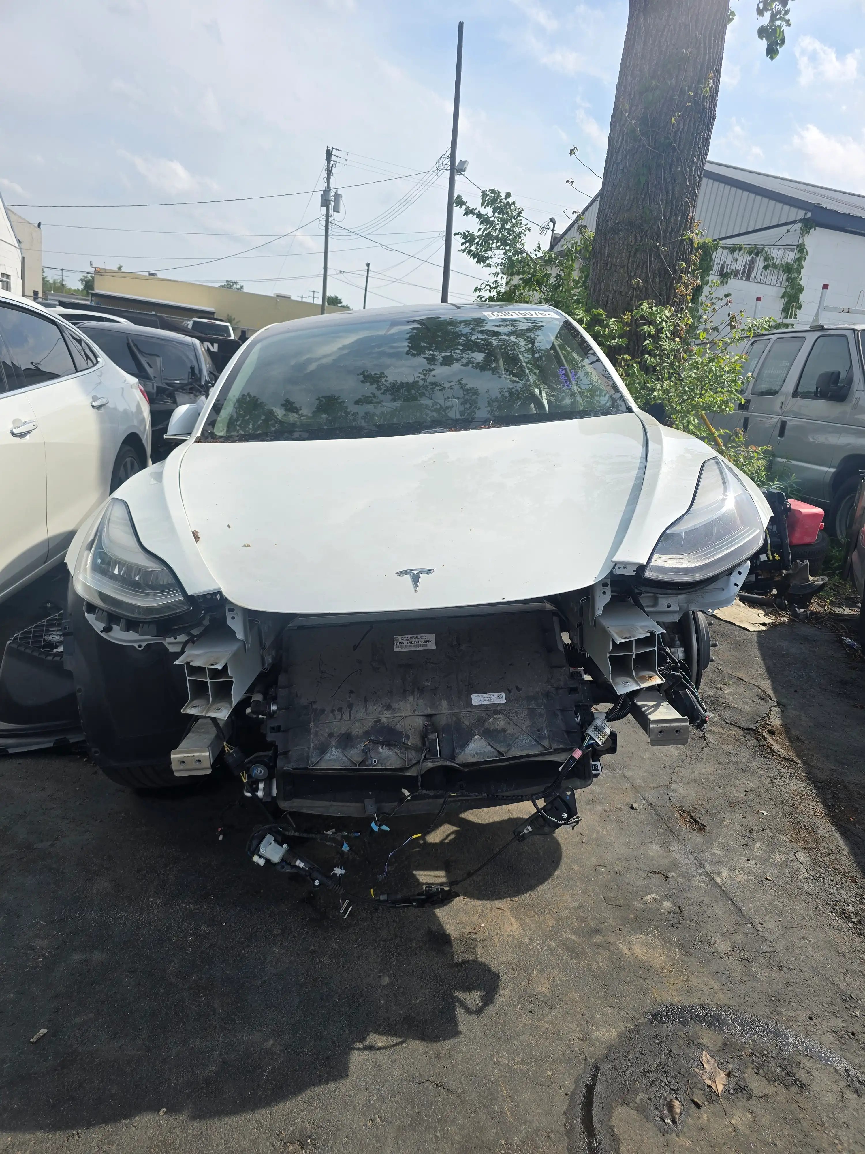 2020 Tesla Model 3 Standard Range Plus's photo